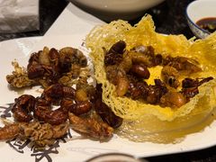 -崮乡圣水坊赵家炒鸡(花都店)