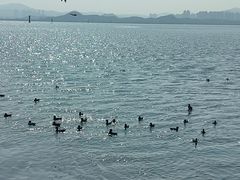 -九龙公园