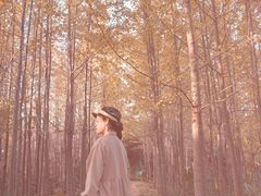 -蜀冈西峰生态公园