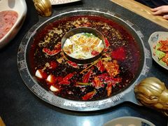 -渝大狮毛肚老火锅(普陀店)