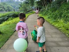 -重庆彩云湖湿地公园