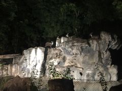 -清迈夜间动物园