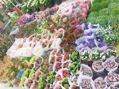 -双季花艺园艺市场(浦东店)
