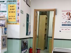 -中农大我爱我爱动物医院·核磁CT·猫病·24小时夜诊中心(石佛营店)