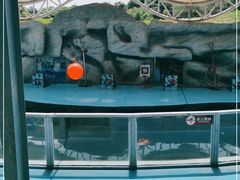 -泉州海丝野生动物世界