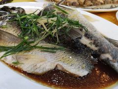 -肥妈岭南家厨(骏业路店)