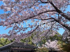 -石湖景区