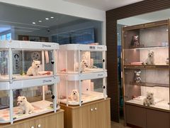 -翊宠yipet猫狗购宠庄园