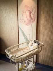 -北京圣宝妇产医院·妇产科·儿科