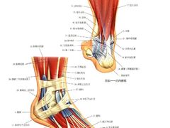-广州中医药大学第一附属医院(总院)