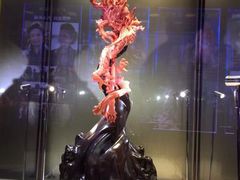 -东海珊瑚博物馆