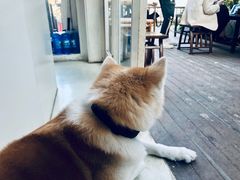 -餐酒吧Com-ing Bar(上海路店)