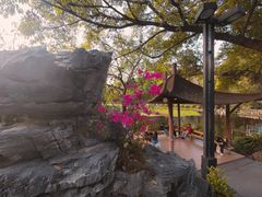 -荔湾湖公园