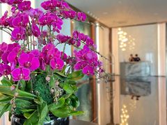 -深圳国际会展中心希尔顿酒店(前海华发冰雪世界店)