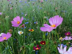 -白塘生态植物园