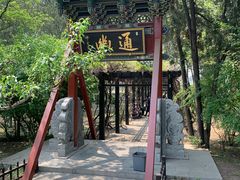 -晋祠公园