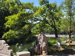 -泰州凤城河风景区-泰山公园