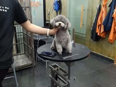 -八公叔叔宠物美容连锁(春申店)