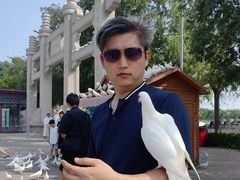 -天津妈祖文化园