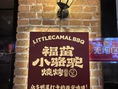 -福苗小骆驼烧烤(莲湖路店)