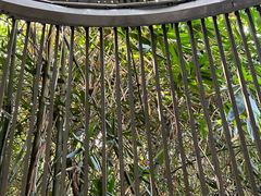 -福道