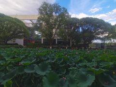 -中央戏剧学院(昌平校区)