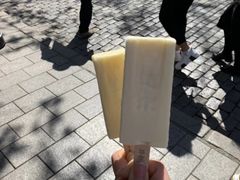 -人民防洪胜利纪念塔