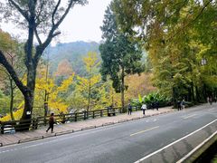 -青城山