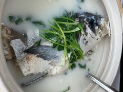 -天乐农家鱼头王(天目湖店)