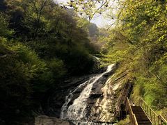 -青峰峡国家森林公园