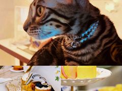 -Me Coffee下午茶艺术空间