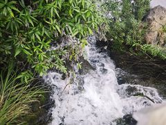 -花溪公园