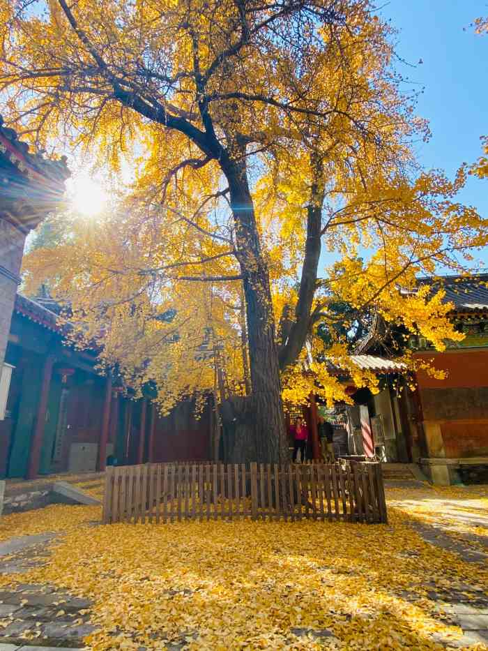 承恩寺-"千年古刹承恩寺位于湖北襄樊建于隋朝,距今."-大众点评移动版