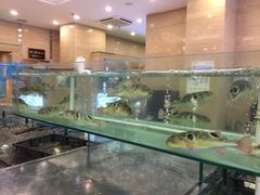 水产区-大方圆酒楼(西门大街店)