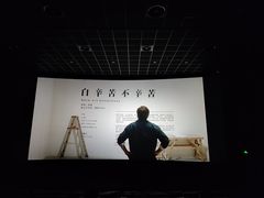 -百美汇影城(LUXE嘉里中心店)