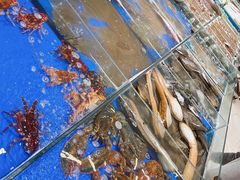 -映像威海·海鲜味道(经区店)