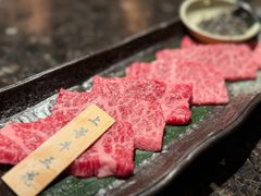 -老乾杯(深圳湾万象城店)