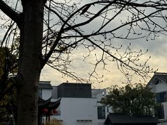 -常熟方塔园