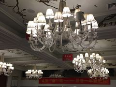 -大鸭梨烤鸭店(花园村店)