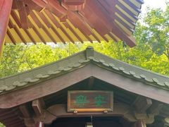 -庐山风景名胜区-东林大佛