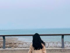 -海堤纪念公园