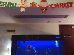 -圣典成人钢琴俱乐部(国贸旗舰校区)