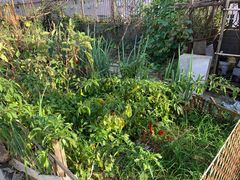 -瑞幸咖啡(凤凰海负一楼美食街店)