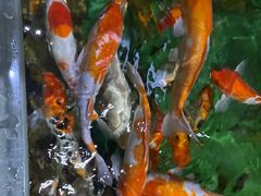 -多彩贵州城极地海洋世界