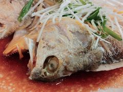 黄花鱼蒸手剥肉饼-朱仔记食府(江南大道店)