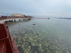 -养马岛旅游度假区