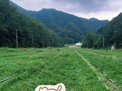 -秦岭终南山世界地质公园翠华山景区
