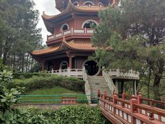 -三水森林公园