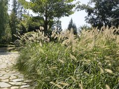 -青岛中山公园-索道售票处