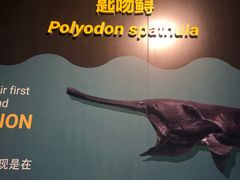 -新加坡海洋生态馆